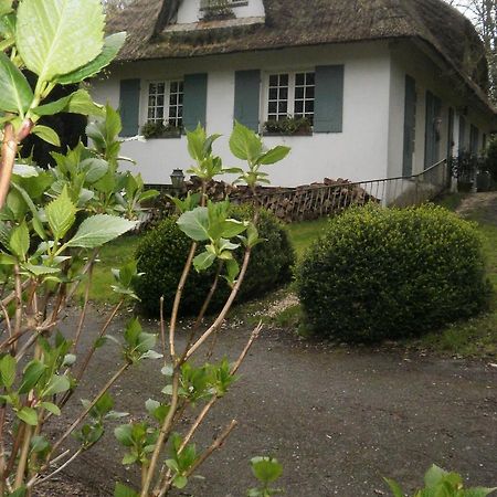 Hautot-sur-Mer Le Clos Des Muriers Bed & Breakfast エクステリア 写真