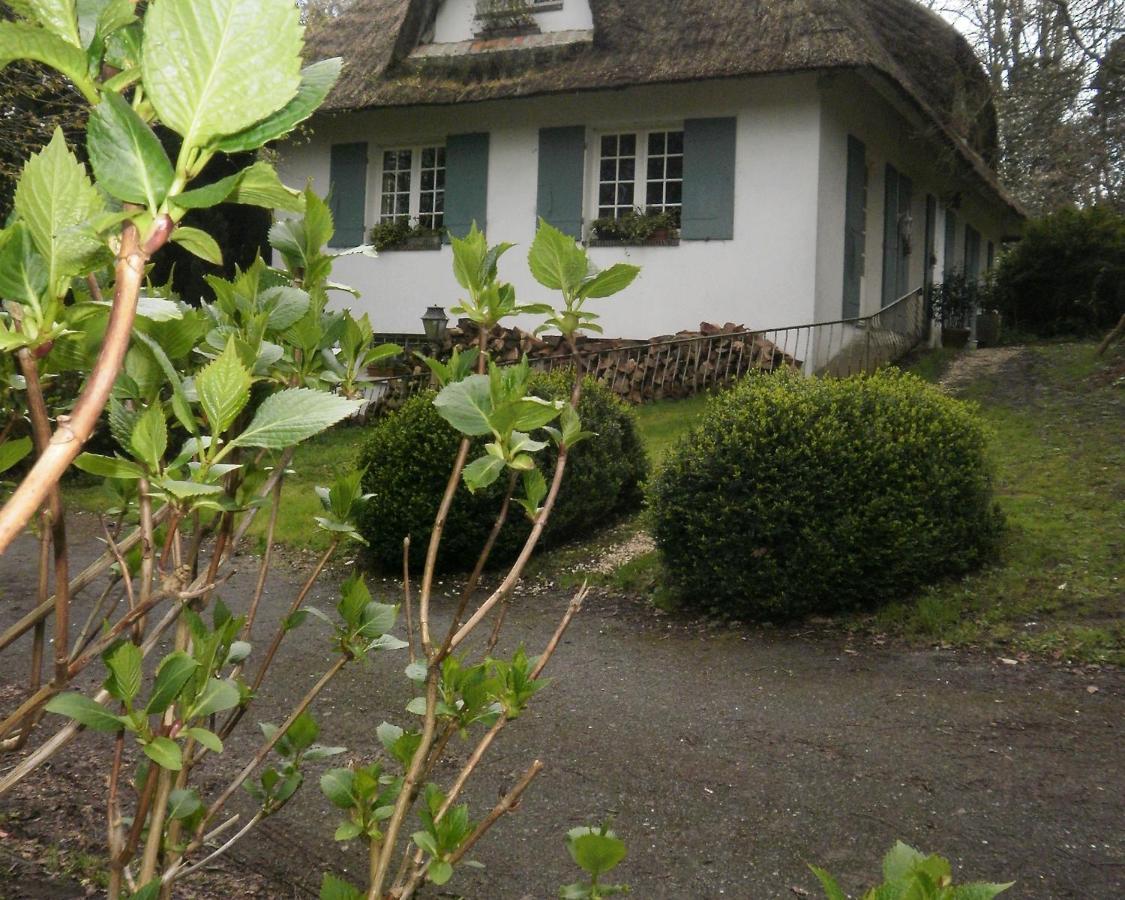 Hautot-sur-Mer Le Clos Des Muriers Bed & Breakfast エクステリア 写真