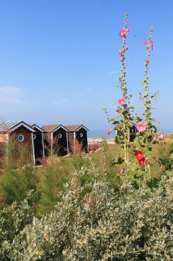 Hautot-sur-Mer Le Clos Des Muriers Bed & Breakfast エクステリア 写真